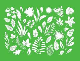 Set of leaf silhouettes isolated on a green background. Collection of plants. Botanical elements for cosmetics, spa, cosmetics.Vector illustration. vector