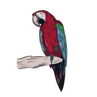 Portrait of a parrot in color. A bird sits on a branch of a tree. A hand drawn sketch in doodle style.Vector illustration. vector