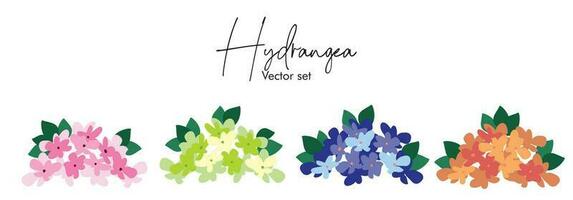 Seamless hydrangea vector set