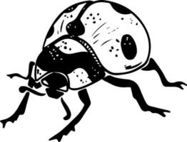 Single sketch style crawling side view ladybug black lineart isolated on white background vector