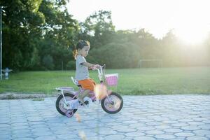 alegre contento joven niña montando bicicleta en parque en naturaleza, contento y teniendo divertida. foto