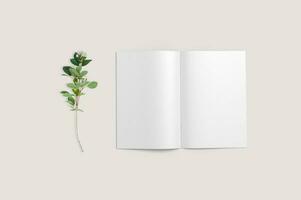 Mockup Blank Cover Of Magazine, Book, Booklet, Brochure. Illustration. Background. Mock Up Template photo