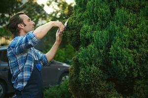 Pruning garden trees. Gardener in work uniform, cuts hedge with clippers. Worker trimming and landscaping green bushes photo