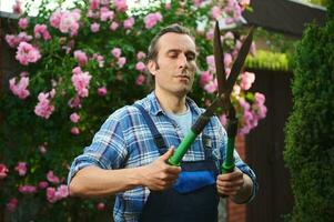 Portrait of workman, competent gardener holding pruning shears, cuts backyard hedges. Pruners Secateurs. Gardening Tools photo