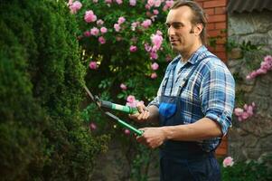 latín americano profesional masculino jardinero corte plantas, utilizando poda tijeras para guarnición y tendiendo setos en yarda foto