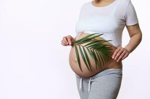 Close-up pregnant woman with naked belly, expecting baby, holding palm leaf on her belly in pregnancy trimester third. photo