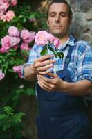 selectivo atención en un ramo de flores de rosado rosas en el manos de un borroso jardinero, mantener el paisaje de un mansión foto