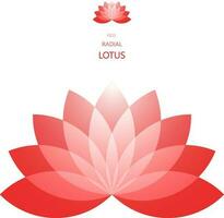 Radial Lotus flower vector