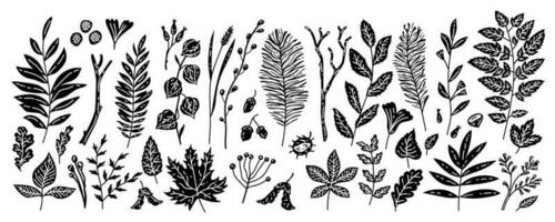 Set of autumn leaves beries and herbs on white background. vector