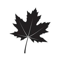 canadiense icono otoño hojas vector