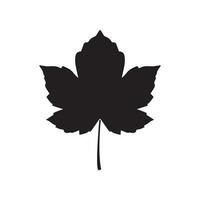 Canadian icon autumn leaves vector