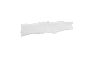 cerca arriba de un blanco rasgado pedazo de papel con espacio de copia. Rasgado papel aislado transparente png