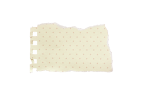 stänga upp av en vit rev bit av papper med copyspace. trasig papper isolerat transparent png