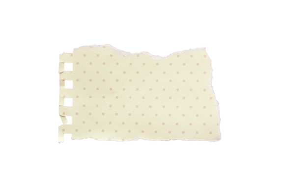 close up of a white ripped piece of paper with copyspace. torn paper  isolated transparent png 25921210 PNG