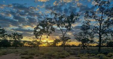 charlotte llanuras, queensland, Australia foto