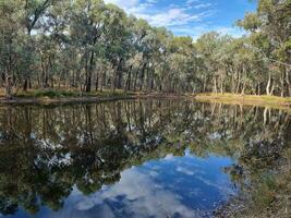 Chiltern National Park, Victoria, Australia photo