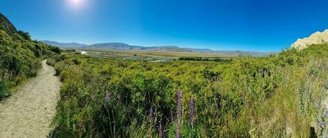 arcilla acantilados, sur isla, nuevo Zelanda foto