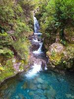 Arthur's Pass, West Coast, New Zealand photo