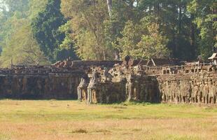 angkor wat templos, Camboya foto