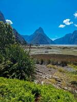 Milford sonido, tierra del sur, nuevo Zelanda foto