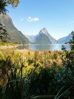 Milford sonido, tierra del sur, nuevo Zelanda foto