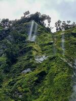 Milford sonido, tierra del sur, nuevo Zelanda foto