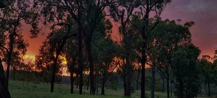 Eungella Dam, Queensland, Australia photo