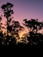 Fletcher Creek, Queensland, Australia photo