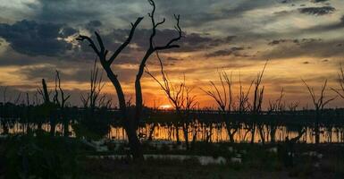 Winton Wetlands, Victoria, Australia photo