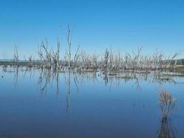 Winton humedales, victoria, Australia foto