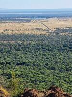 Mount Walker view to Hughenden, Australia photo