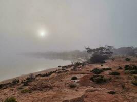 lago gillies, Australia foto