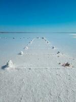 lago ciervo, sur Australia foto