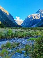 Monkey Creek in New Zealand photo