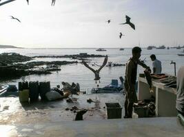 Fishing on the Galapagos Islands photo