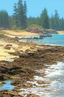 Norfolk Island Scenery, Australia photo