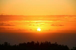 Norfolk Island Scenery, Australia photo