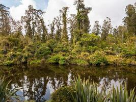 okarito laguna, nuevo Zelanda foto