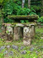 Paronella Park, Queensland Australia photo