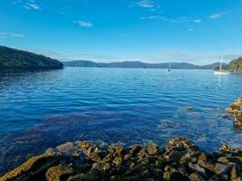 Stewart Island Harbour, New Zealand photo