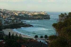 Sydney Panoramic of Beaches photo