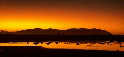 Wunjunga Wetlands, Queensland Australia photo