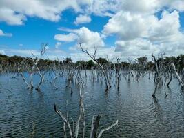 Woody Lake, Western Australia photo