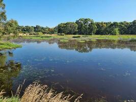 Yuilles Wetlands, Victoria Australia photo