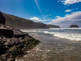 Allans Beach, Dunedin New Zealand photo