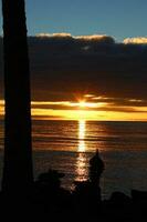 Port Douglas Beach, Queensland Australia photo