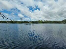 lago monjinup, occidental Australia foto