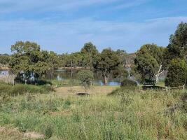 puerto cisne humedales, sur Australia foto