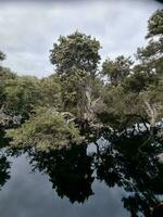 lago monjinup, occidental Australia foto