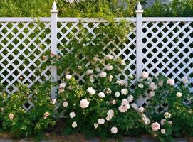 A fragment of a white vinyl fence. Fencing of the house territory Copy space created with Generative AI technology photo